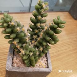 馬鞍山雨山區(qū)面包飲品團(tuán)購(gòu)指南 價(jià)格、地址、營(yíng)業(yè)時(shí)間及美食推薦